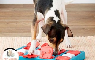 Outward-Hound-Interactive-Puzzle-Toy