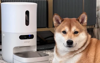 Pawsync Smart Pet Feeders Products photo