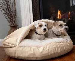 Snoozer’s Eco-Friendly Pet Beds Picture