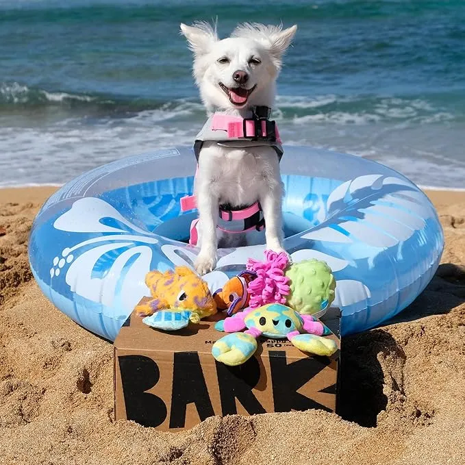BarkBox Subscription Box picture