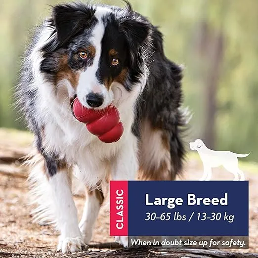 KONG Classic Dog Toy - The All-Time Favorite Durable Toy picture