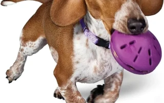 PetSafe’s Busy Buddy Twist ‘n Treat Picture
