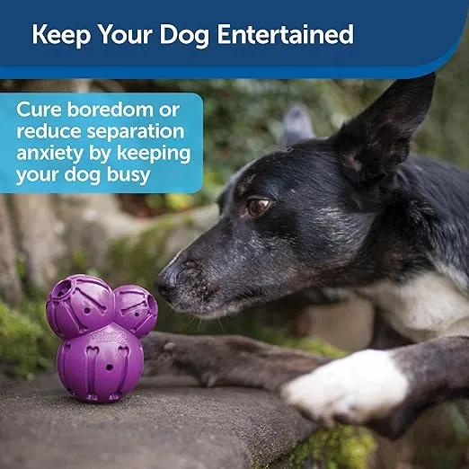 PetSafe – Busy Buddy Twist 'n Treat for Treat Dispensing Fun picture