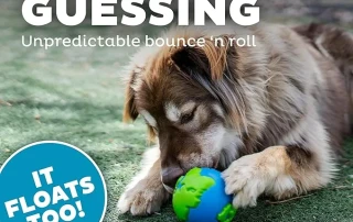 Planet Dog – Durable, Eco-Friendly Pet Toys photo