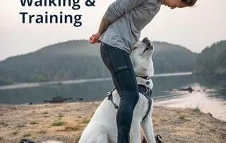 Ruffwear - Gnawt-a-Cone photo