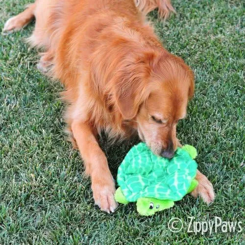 ZippyPaws' Trendy Dog Toy Collection photo