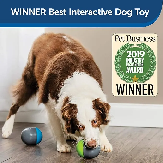 PetSafe Ricochet Electronic Dog Toys photo