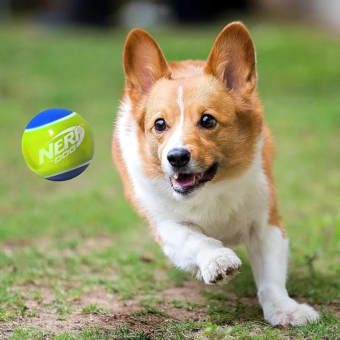 Nerf Dog Squeaker Ball Blaster by Nerf Dog photo