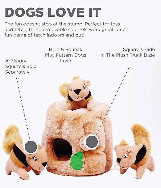 Outward Hound - Hide-A-Squirrel photo