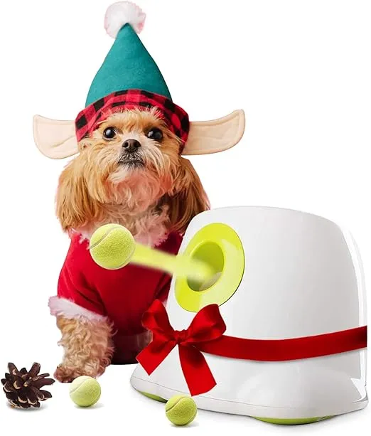 PetSafe – Smart Pet Toys with Technology Integration picture