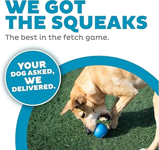 Planet Dog – Orbee-Tuff Squeak Ball for Eco-Friendly Play