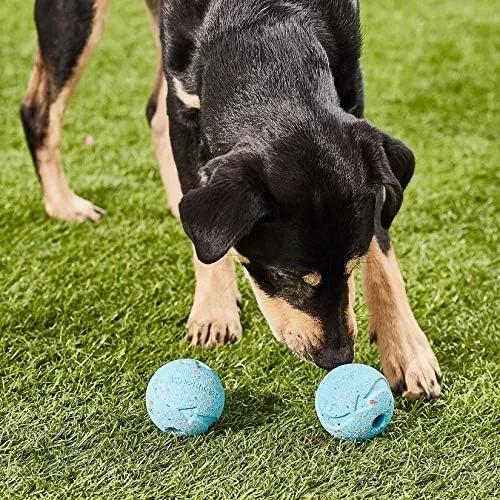Chuckit! - Ultra Ball photo