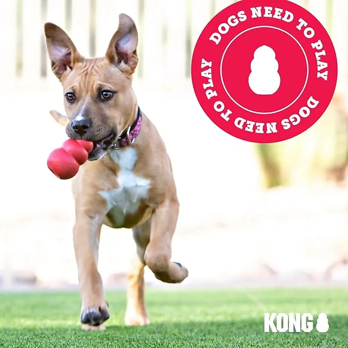 KONG – Durable and Tough Chew Toys picture
