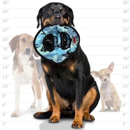 Tuffy Ultimate Ring by Tuffy's Pet Toys photo