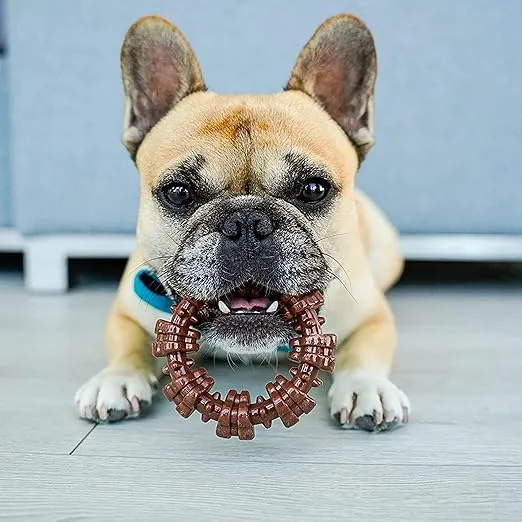 Nylabone DuraChew Textured Ring by Nylabone photo