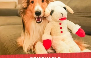 Multipet Lamb Chop Plush Toy by Multipet International photo