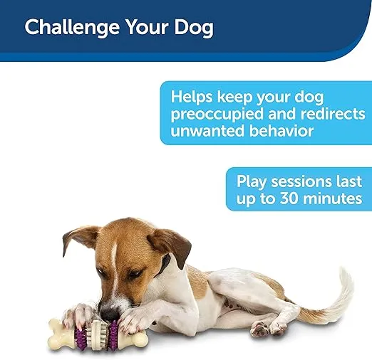 PetSafe - Busy Buddy Bristle Bone picture