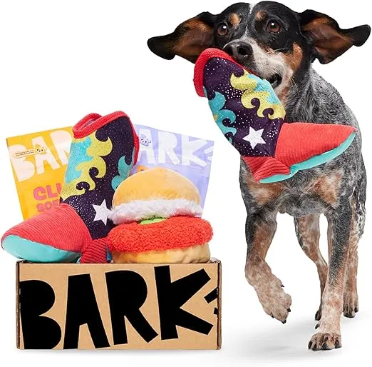 BarkBox- Monthly Subscription Box picture
