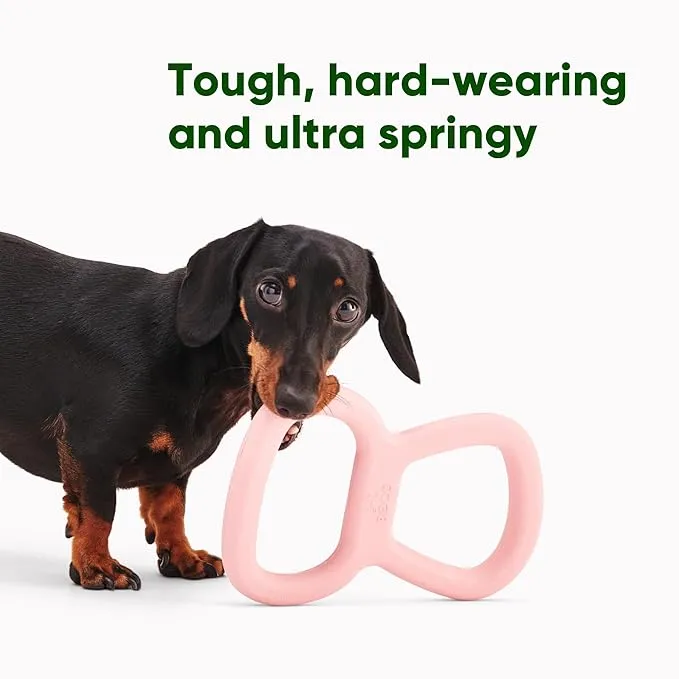 Beco Pets – Eco-Friendly Pet Toys photo