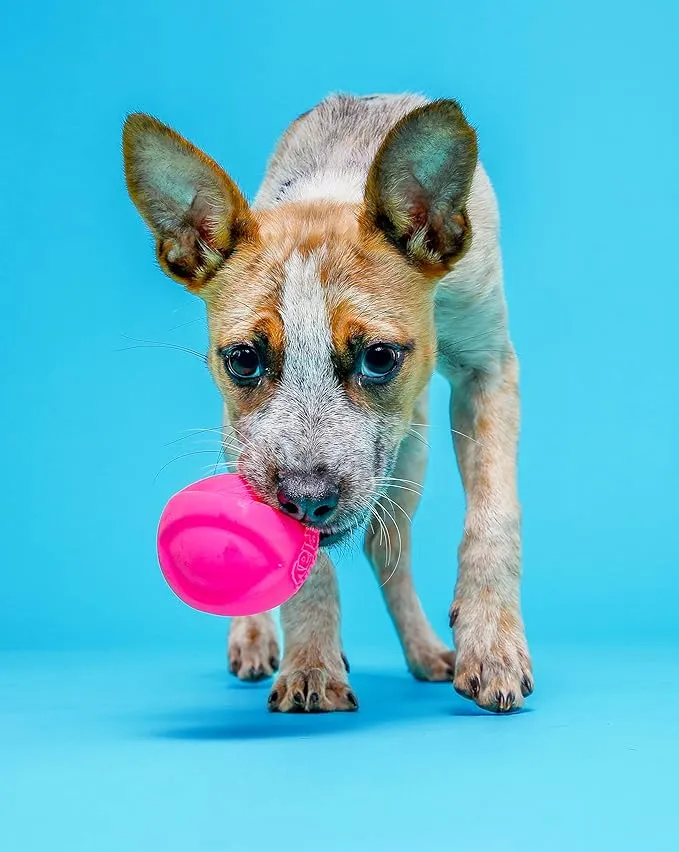 Hartz DuraPlay Ball photo