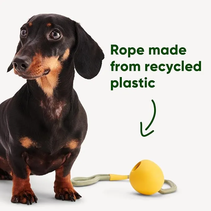 Beco Pets’ Beco Ball with Rope photo