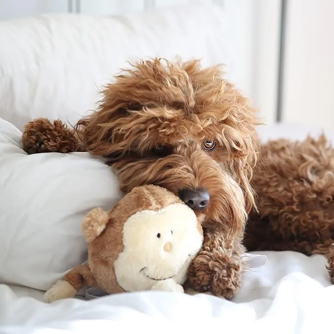 Frisco Plush Squeaking Monkey Dog Toy by Frisco photo