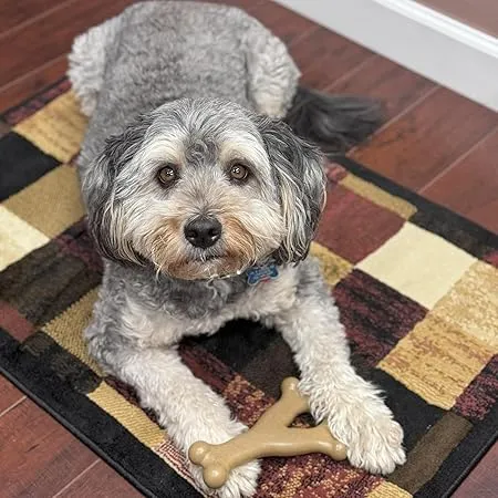 Benebone Wishbone – Long-Lasting Chew Toy photo