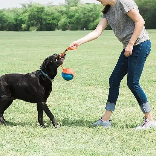 Chuckit!- Fetch Toys for Active Dogs picture