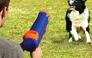 Nerf Dog- High-Energy Interactive Toys photo