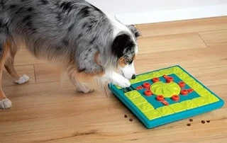 Nina Ottosson's Dog Brick Puzzle – Brain Training Made Fun picture