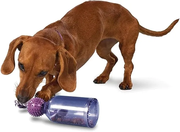 PetSafe's Busy Buddy Tug-A-Jug – Interactive Meal Dispenser picture