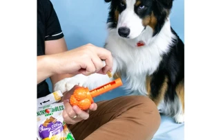 Sneaky-Snacker-Chew-Treat-by-Nylabone picture