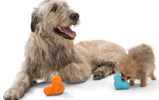 West Paw Design - Zogoflex Tux Picture