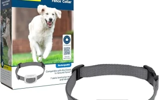 PetSafe- Leading the Way in Pet Containment and Training picture