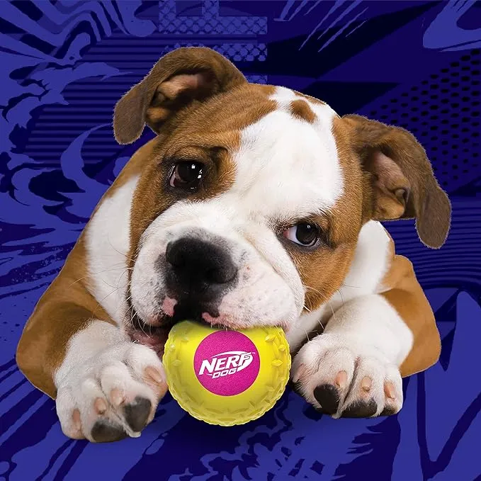 Nerf Dog Durable Squeak Ball picture
