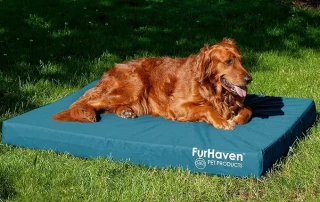 Comfortable Pet Beds and Mats – Brand- Furhaven picture