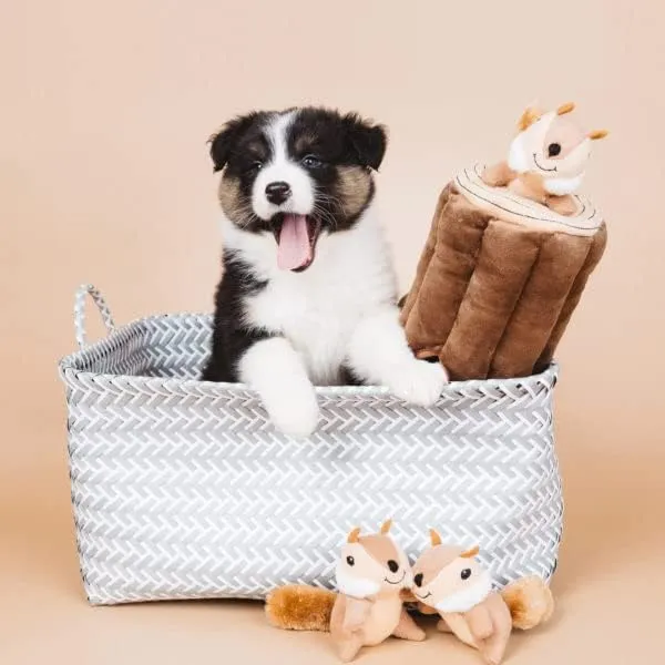ZippyPaws- Interactive Fun for Pets photo
