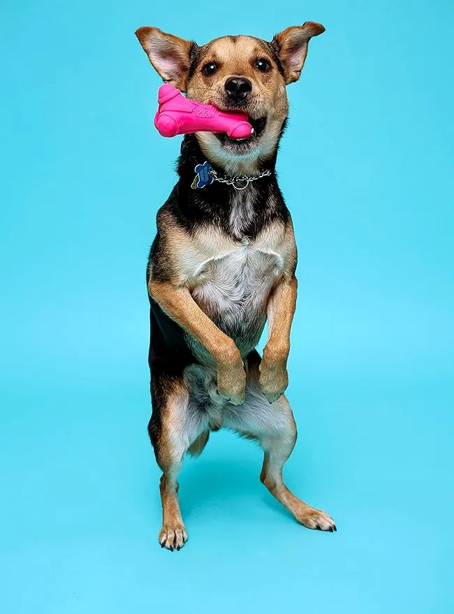 Hartz Dura Play Bone photo