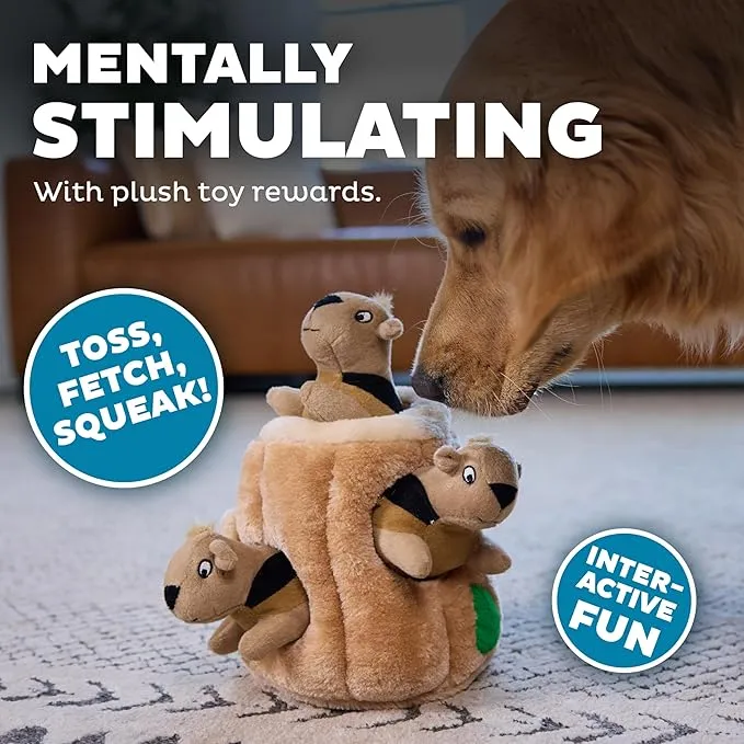 Outward Hound Hide-A-Squirrel Puzzle Toy photo