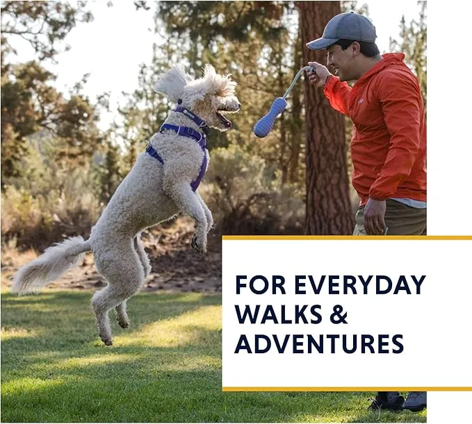 Eco-Friendly Pet Collars and Leashes Ruffwear