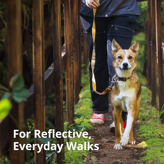 Ruffwear Dog Leashes & Collars