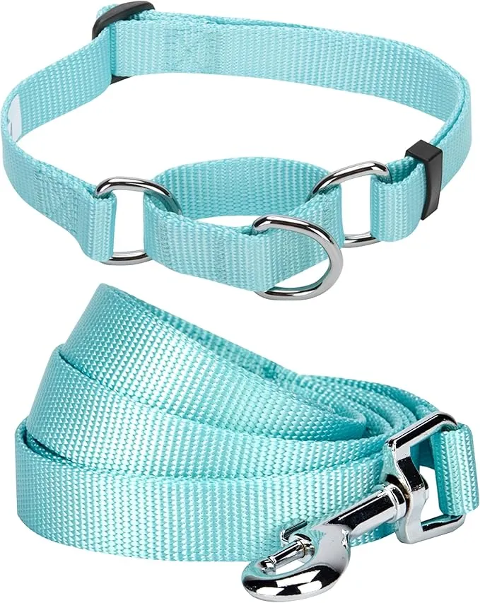 Stylish Pet Collars and Leashes – Brand- Blueberry Pet picture