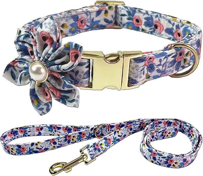Coastal Pet Products- Durable Collars and Leash Sets picture