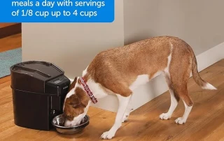 Automatic Pet Feeders PetSafe