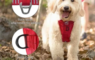 Kurgo- Safety-First Travel Harnesses picture