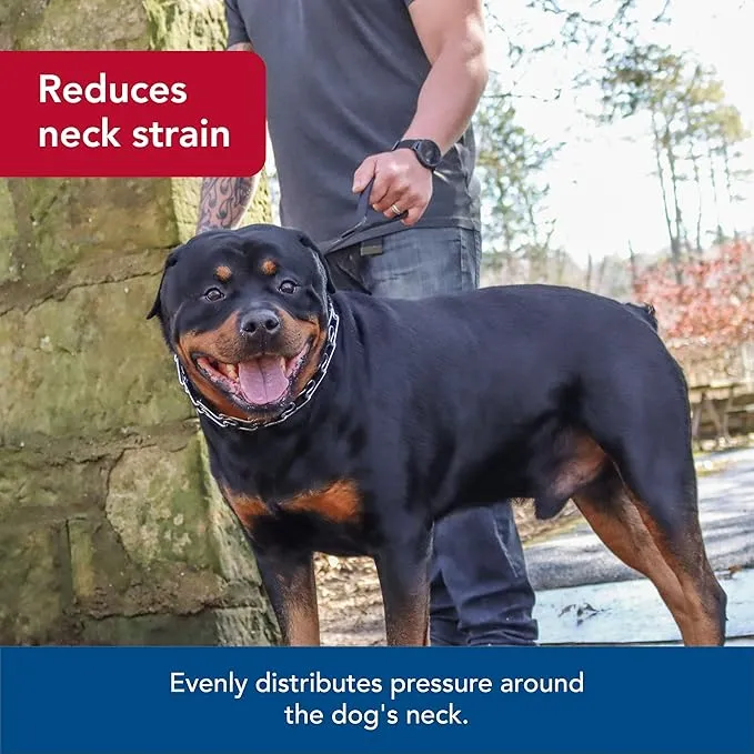 Coastal Pet Products – Leashes and Collars picture
