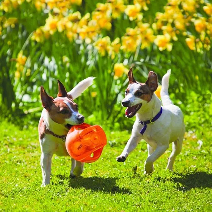 Engaging Interactive Pet Toys – Brand- KONG picture