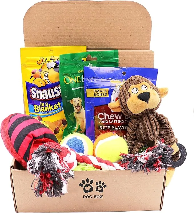 BarkBox Subscription (Dog Toys & Treats)