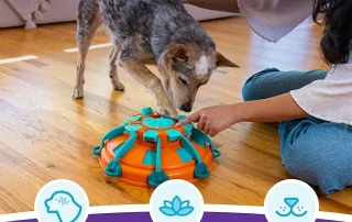 Outward Hound – Enrichment Toys picture