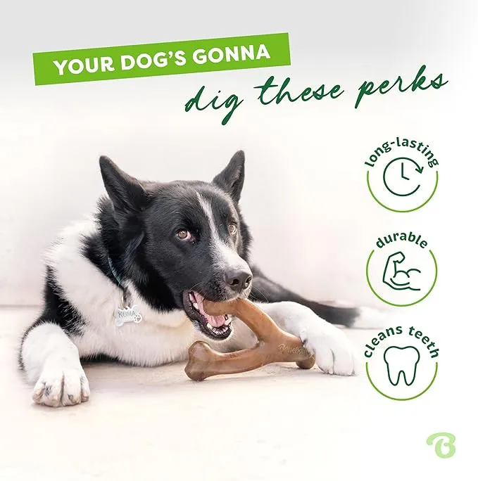 Benebone Real Flavor Wishbone